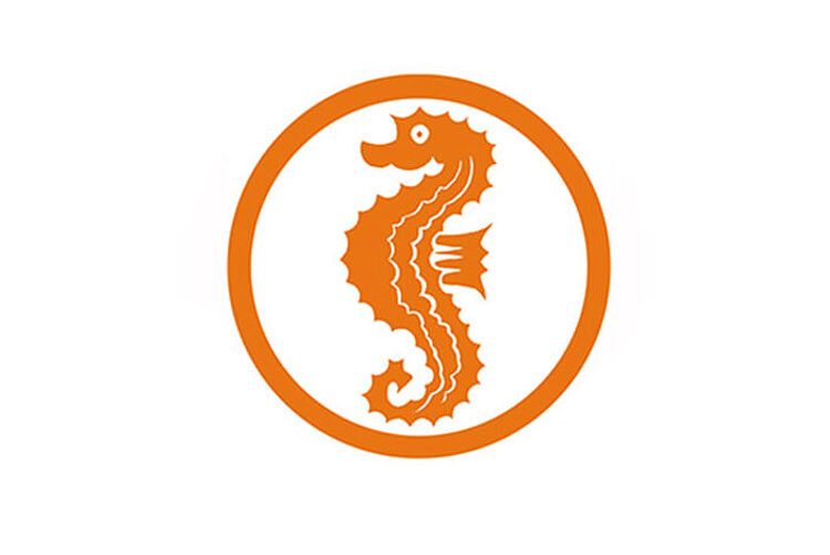 Seepferdchen (Frühschwimmer oder Anfängerschwimmen)